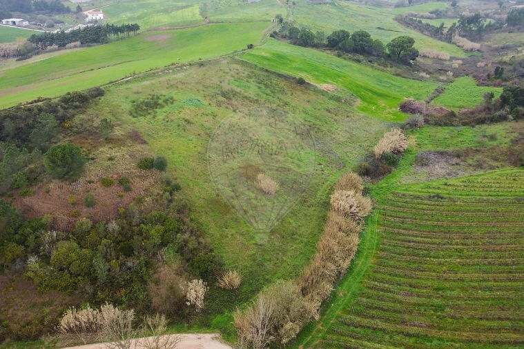 Terreno para Venda em Olhalvo Foto 2