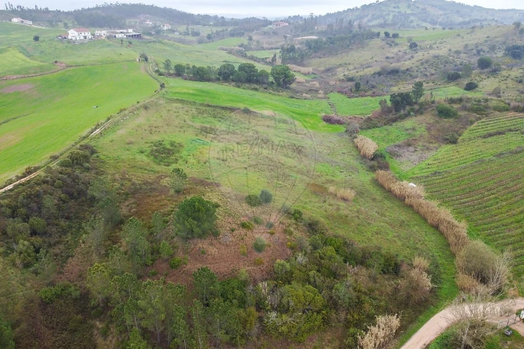 Terreno para Venda em Olhalvo Foto 3