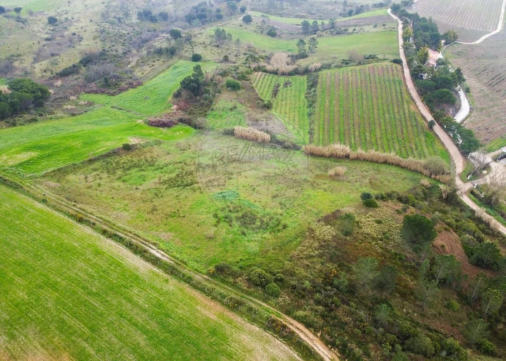 Terreno para Venda em Olhalvo Foto 6