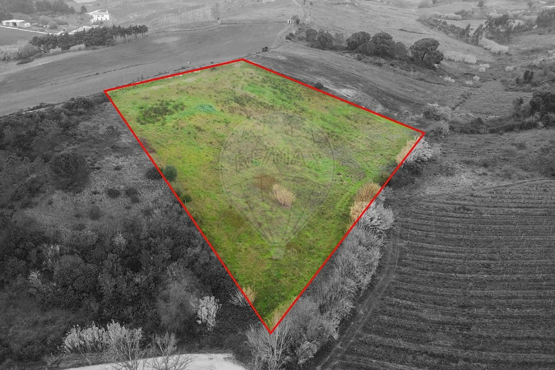 Terreno para Venda em Olhalvo Foto 1