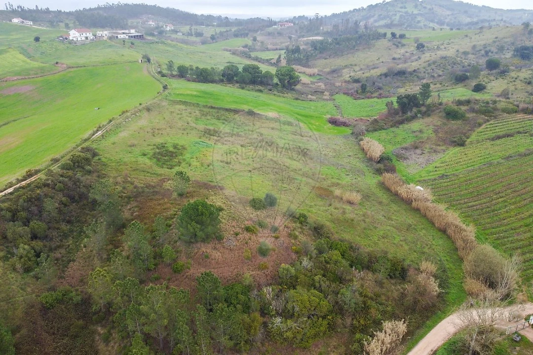 Terreno para Venda em Olhalvo Foto 3