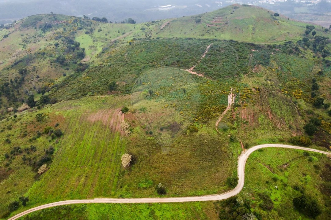 Terreno para Venda em Meca Foto 7