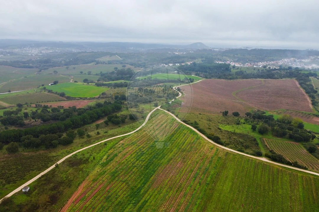 Terreno para Venda em Meca Foto 6