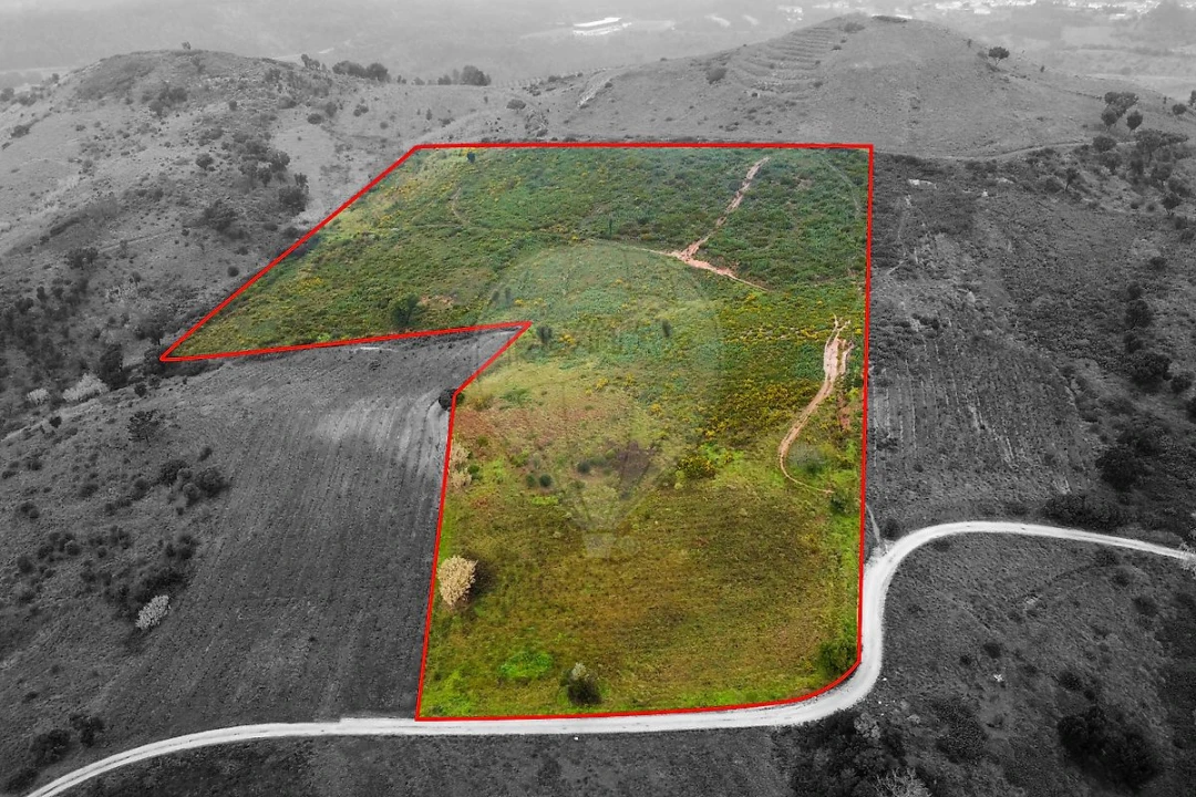 Terreno para Venda em Meca Foto 8