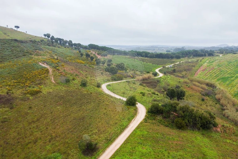 Terreno para Venda em Meca Foto 10