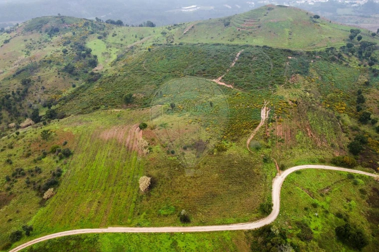 Terreno para Venda em Meca Foto 7