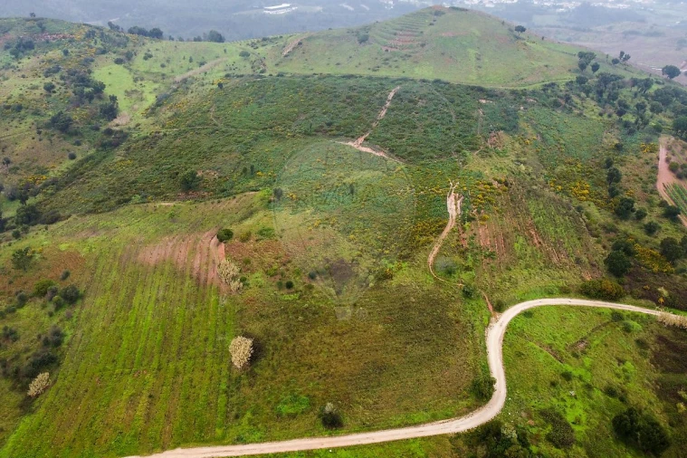 Terreno para Venda em Meca Foto 3