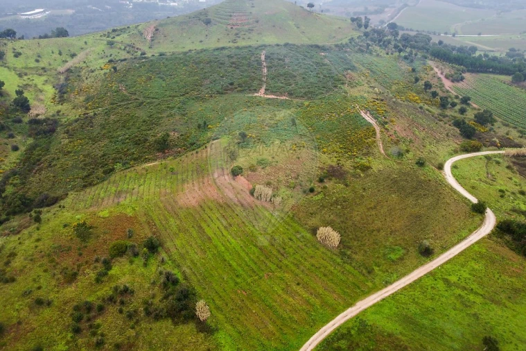 Terreno para Venda em Meca Foto 2