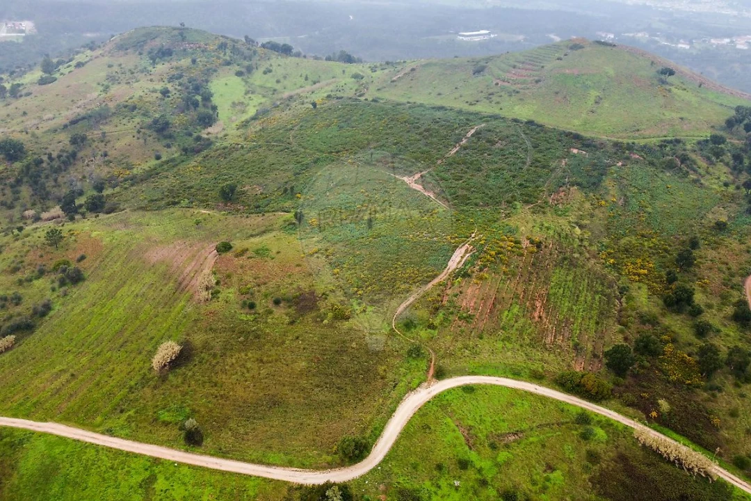 Terreno para Venda em Meca Foto 4