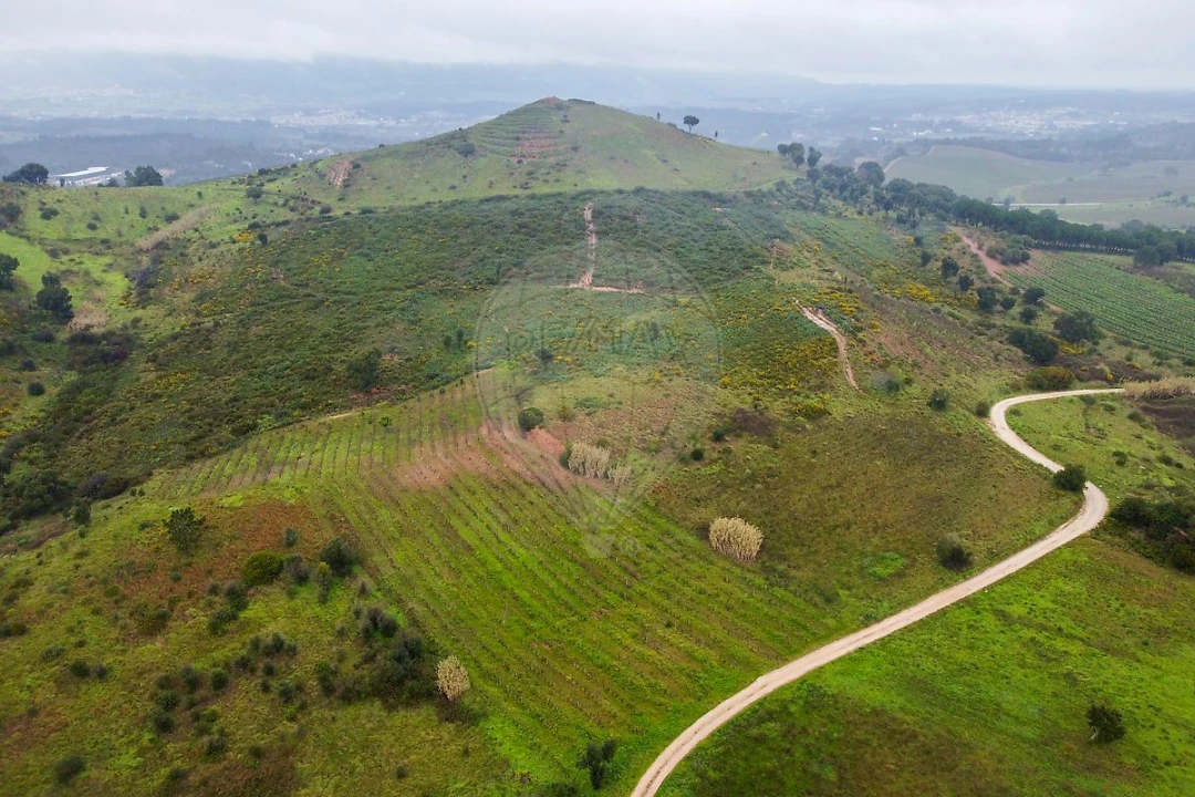 Terreno para Venda em Meca Foto 1
