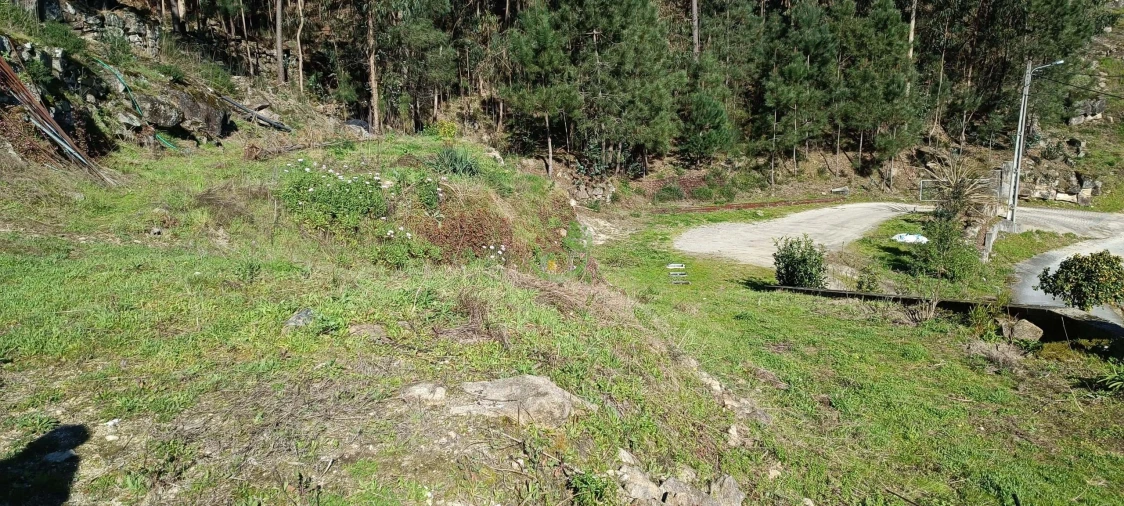 Moradia T6 para Venda em Dossãos Foto 54