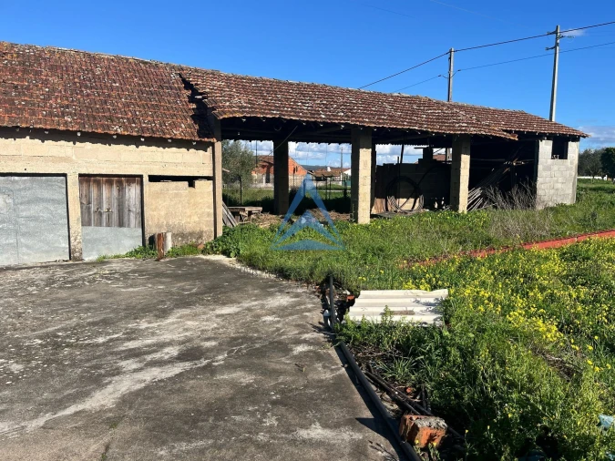 Terreno para Venda em Pombal Foto 7