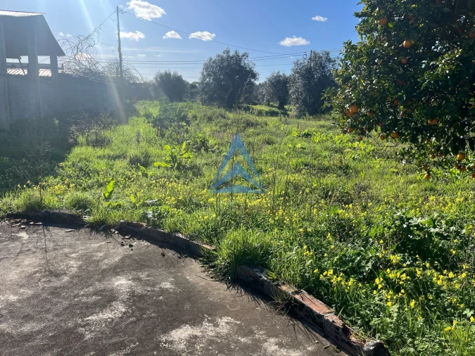 Terreno para Venda em Pombal Foto 17