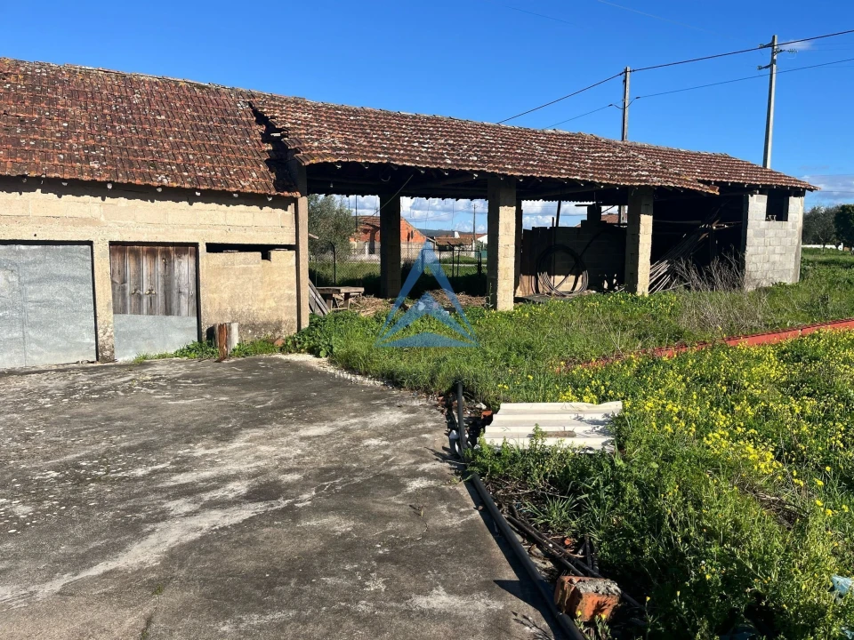 Terreno para Venda em Pombal Foto 7