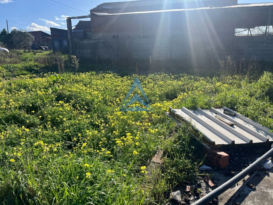 Terreno para Venda em Pombal Foto 6