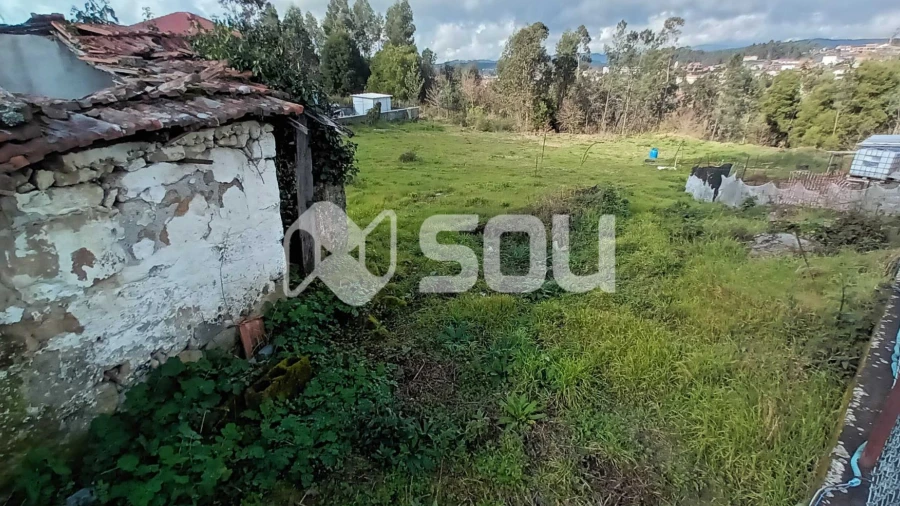 Terreno para Venda em Quinchães
