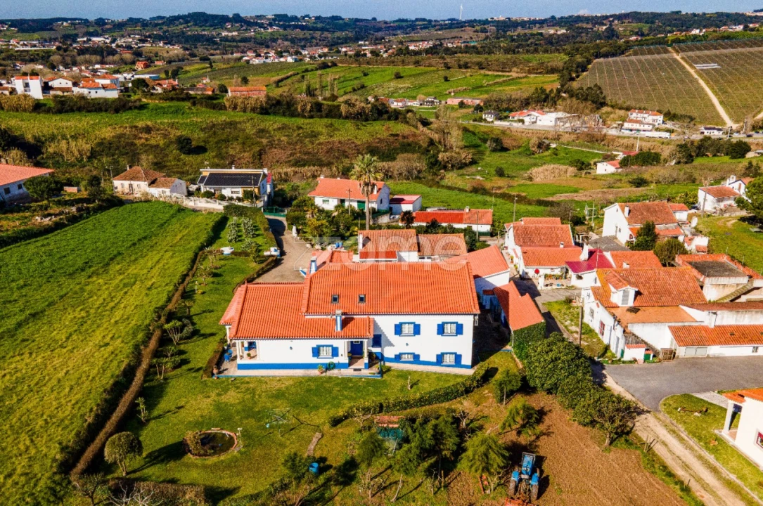 Moradia T4 para Venda em Evora de Alcobaça Foto 59