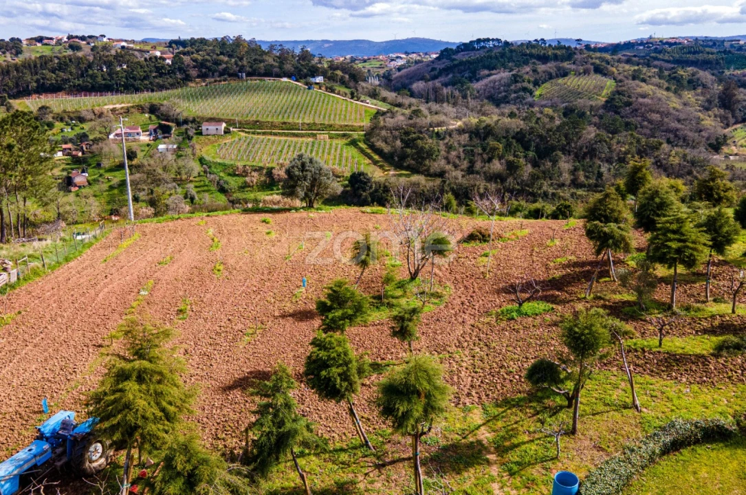 Moradia T4 para Venda em Evora de Alcobaça Foto 65