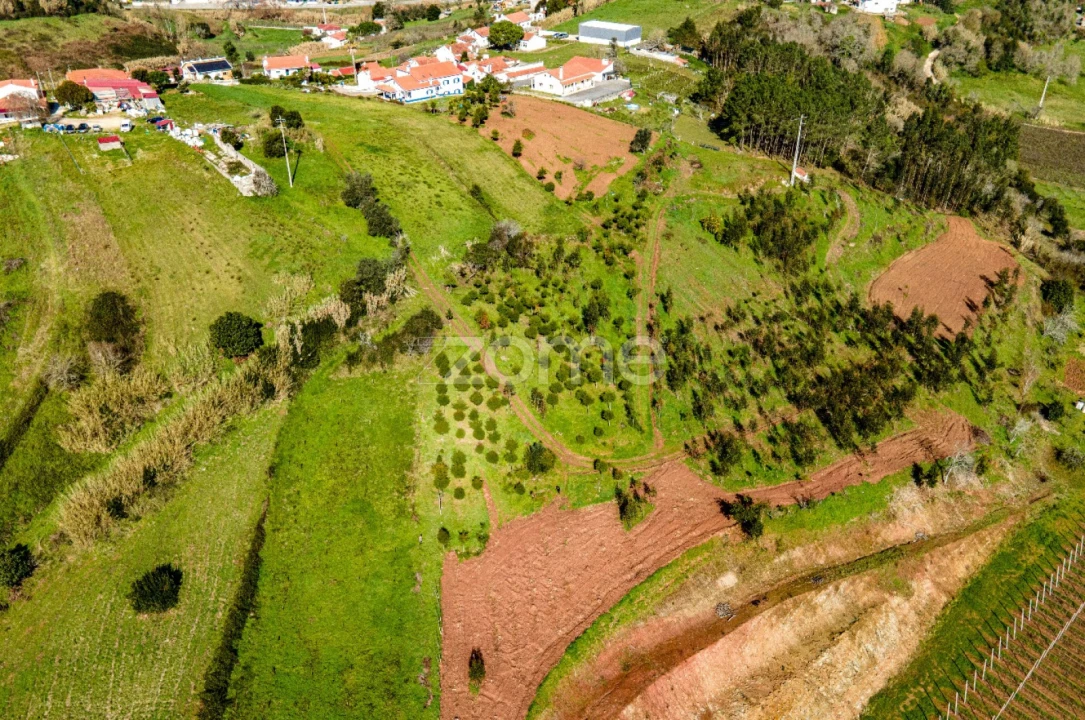 Moradia T4 para Venda em Evora de Alcobaça Foto 58