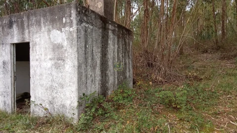 Terreno Agricola ou Rústico para Venda em Cebolais de Cima e Retaxo