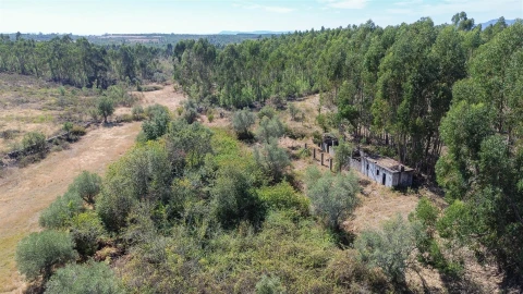 Terreno Agricola ou Rústico para Venda em Cebolais de Cima e Retaxo