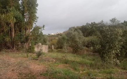 Terreno Agricola ou Rústico para Venda em Cebolais de Cima e Retaxo