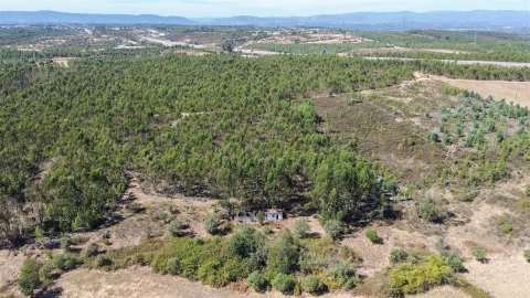 Terreno Agricola ou Rústico para Venda em Cebolais de Cima e Retaxo