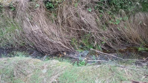 Terreno Agricola ou Rústico para Venda em Cebolais de Cima e Retaxo