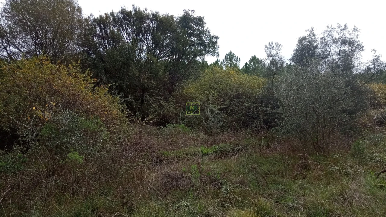 Terreno Agricola ou Rústico para Venda em Cebolais de Cima e Retaxo Foto 5