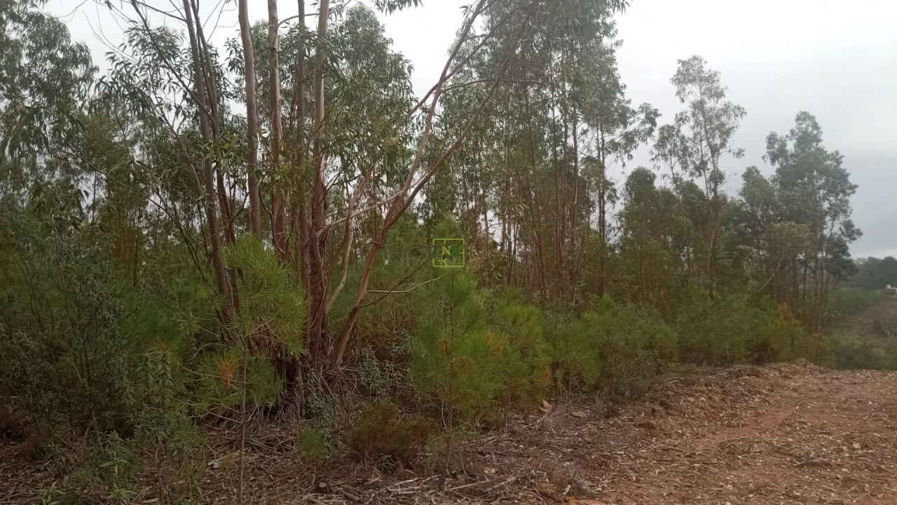 Terreno Agricola ou Rústico para Venda em Cebolais de Cima e Retaxo Foto 4