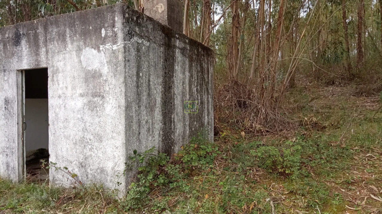 Terreno Agricola ou Rústico para Venda em Cebolais de Cima e Retaxo Foto 12