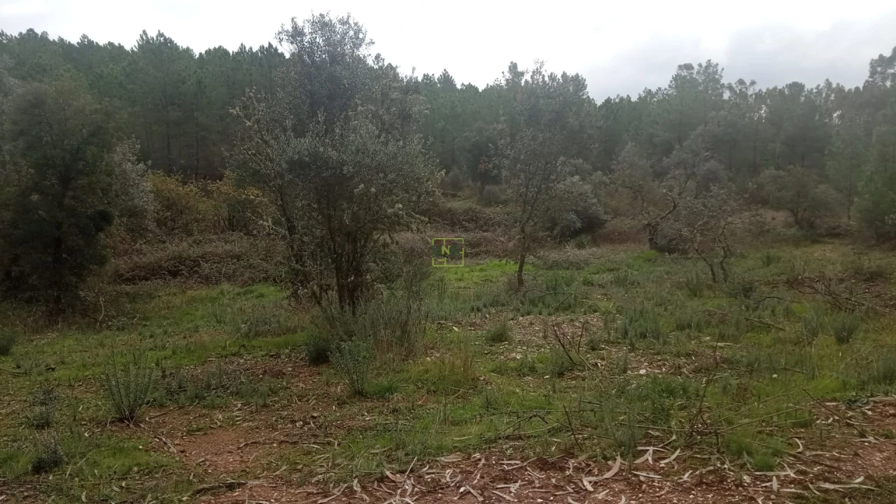 Terreno Agricola ou Rústico para Venda em Cebolais de Cima e Retaxo Foto 6
