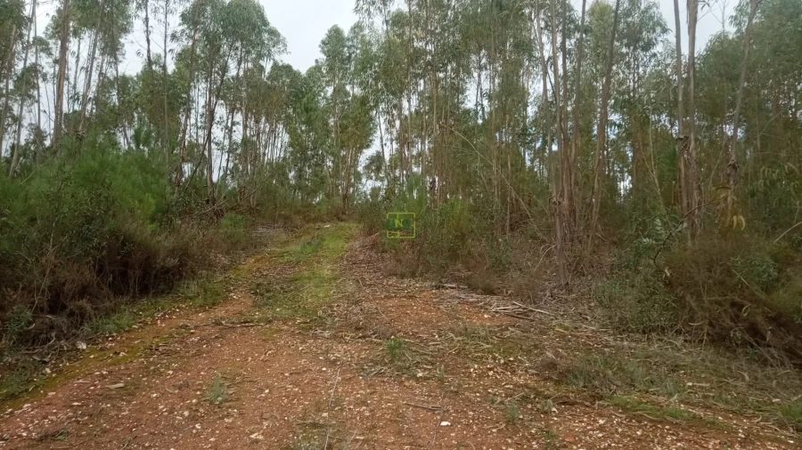 Terreno Agricola ou Rústico para Venda em Cebolais de Cima e Retaxo Foto 8