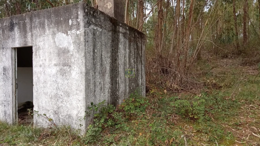 Terreno Agricola ou Rústico para Venda em Cebolais de Cima e Retaxo Foto 12