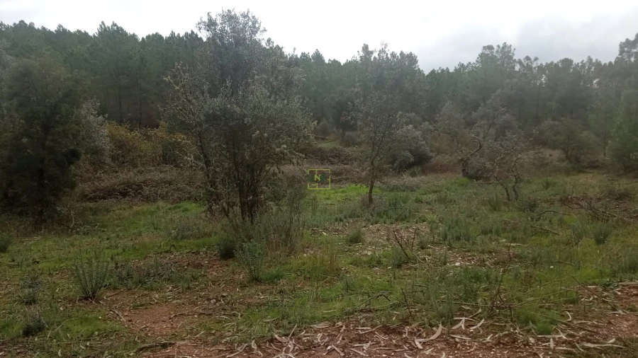 Terreno Agricola ou Rústico para Venda em Cebolais de Cima e Retaxo Foto 6