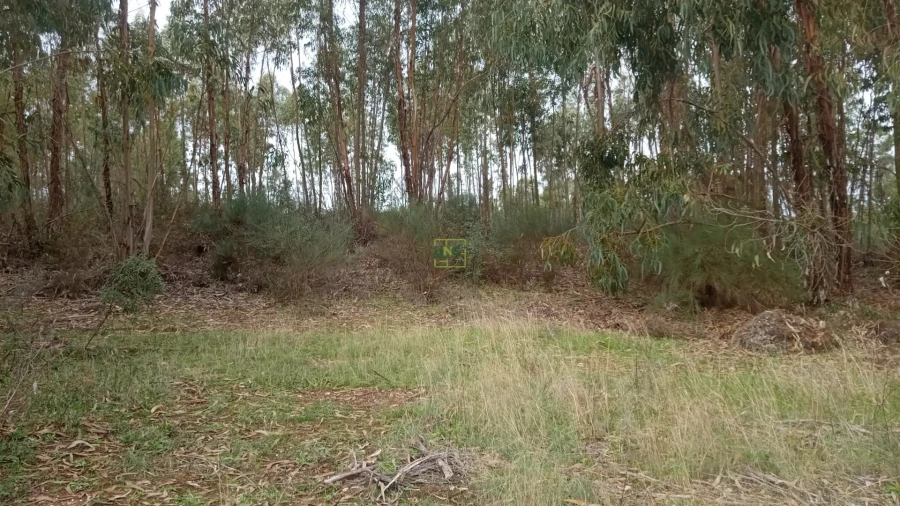 Terreno Agricola ou Rústico para Venda em Cebolais de Cima e Retaxo Foto 7