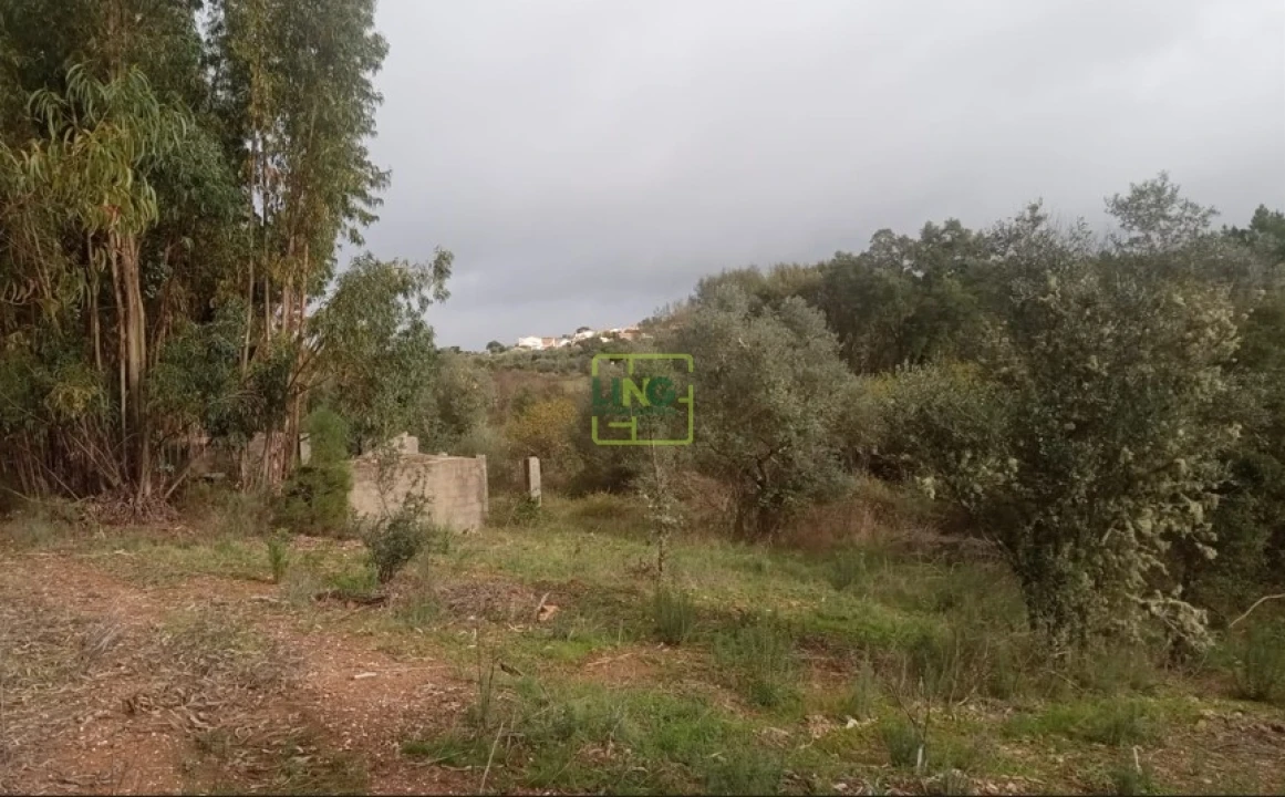 Terreno Agricola ou Rústico para Venda em Cebolais de Cima e Retaxo Foto 1