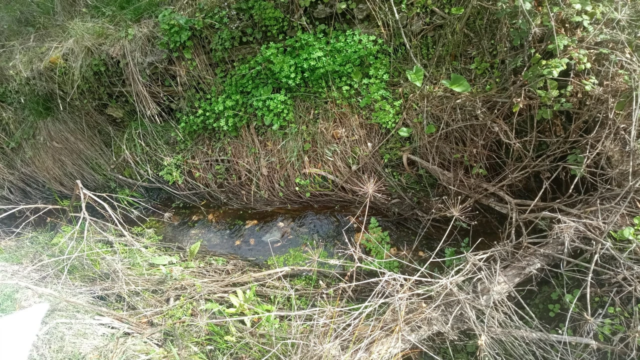 Terreno Agricola ou Rústico para Venda em Cebolais de Cima e Retaxo Foto 2