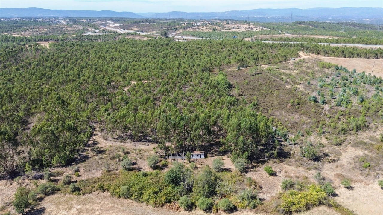 Terreno Agricola ou Rústico para Venda em Cebolais de Cima e Retaxo Foto 20