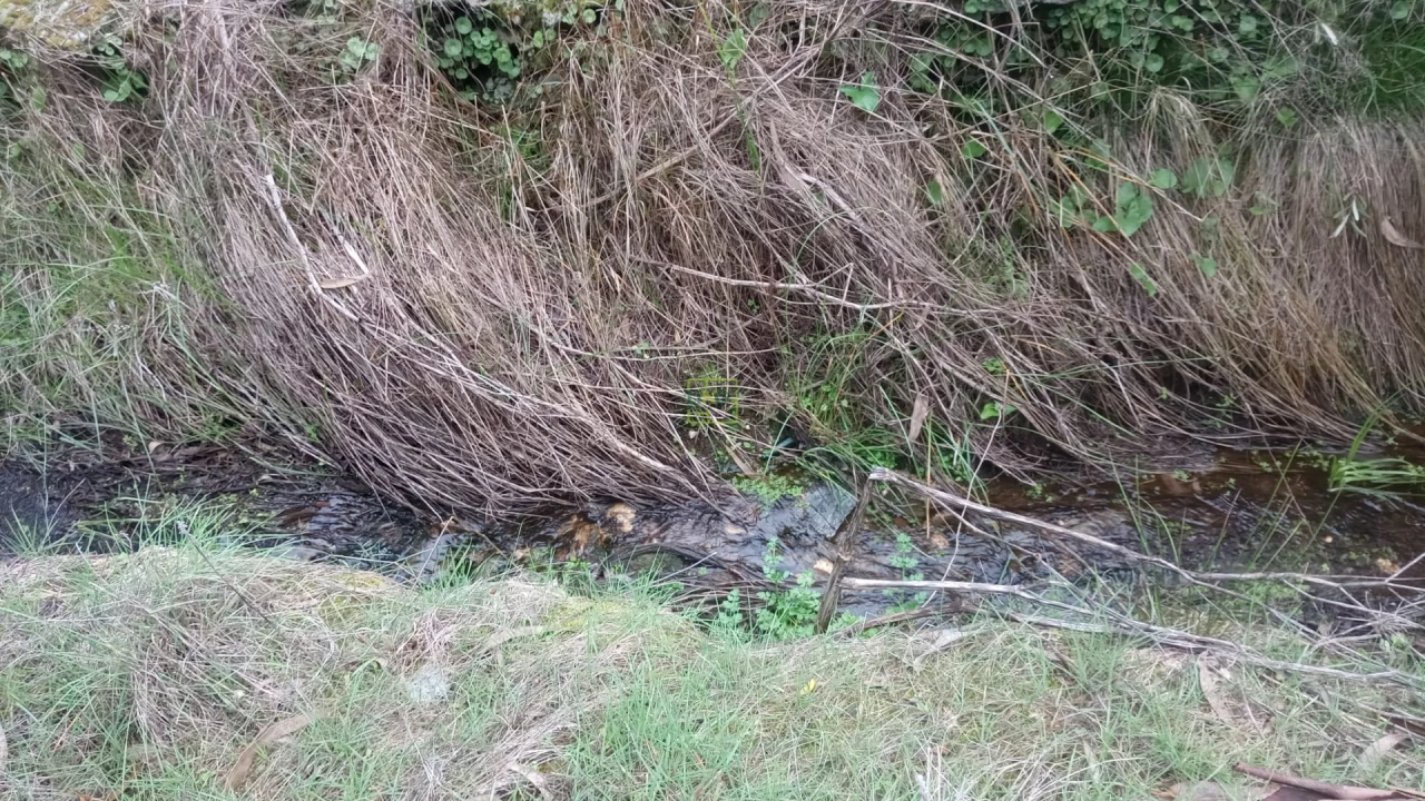 Terreno Agricola ou Rústico para Venda em Cebolais de Cima e Retaxo Foto 3