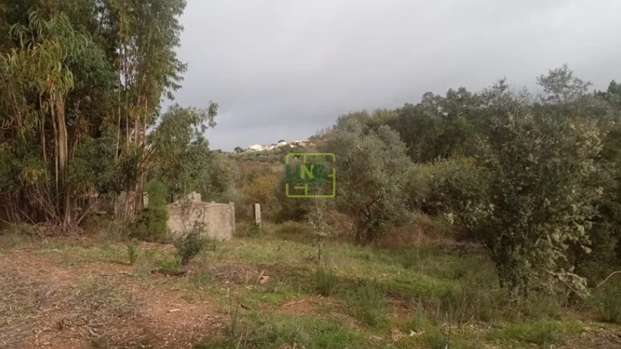 Terreno Agricola ou Rústico para Venda em Cebolais de Cima e Retaxo