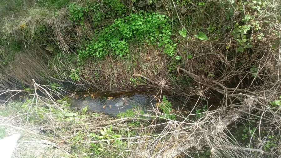 Terreno Agricola ou Rústico para Venda em Cebolais de Cima e Retaxo