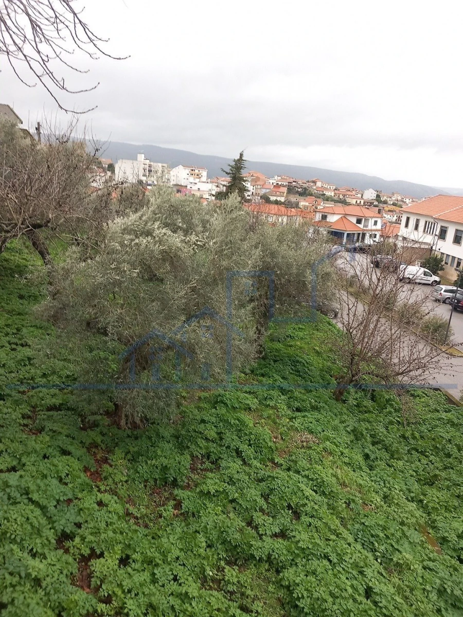 Moradia T0 para Venda em Torre de Moncorvo Foto 8