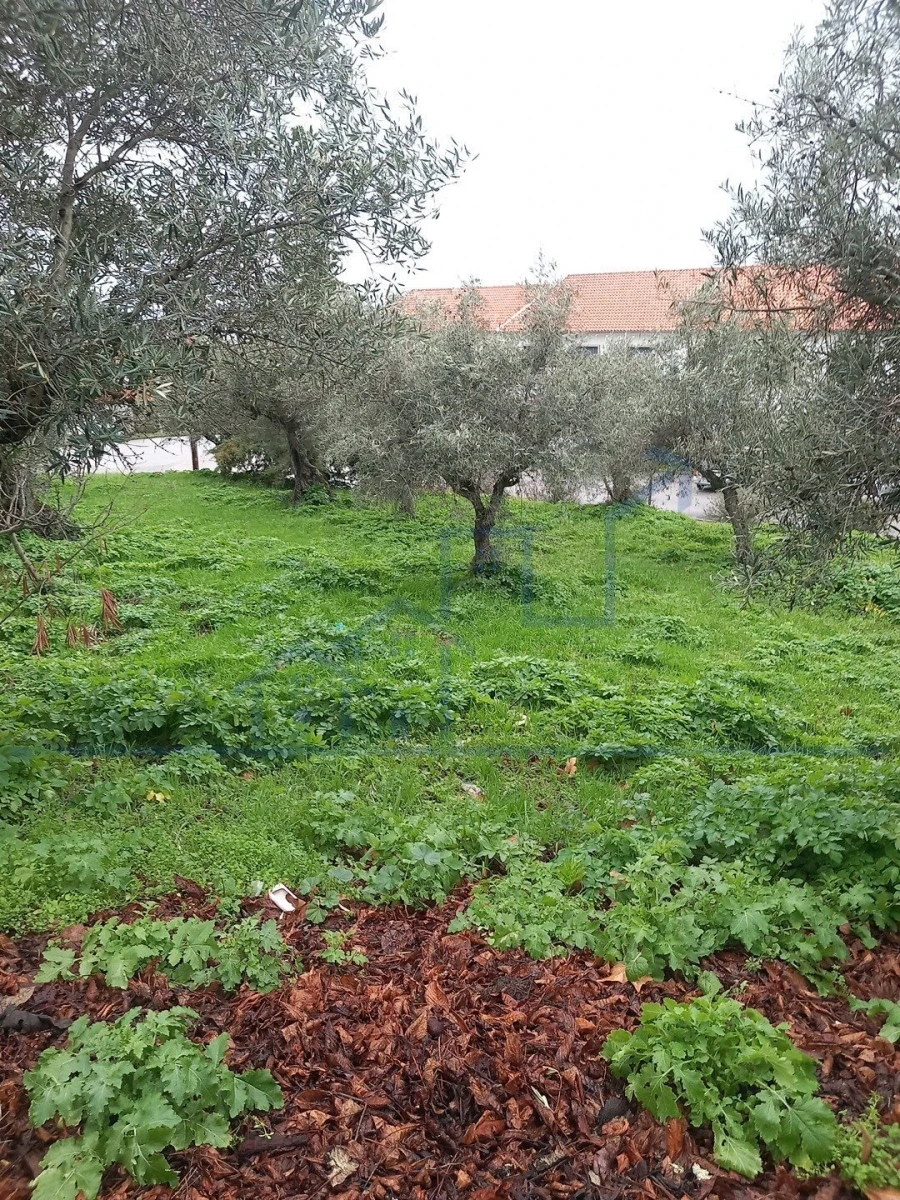 Moradia T0 para Venda em Torre de Moncorvo Foto 6