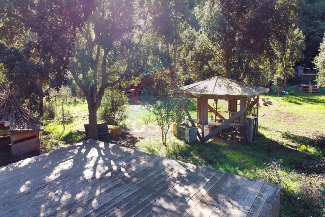 Terreno Agricola ou Rústico para Venda em Aljezur Foto 7