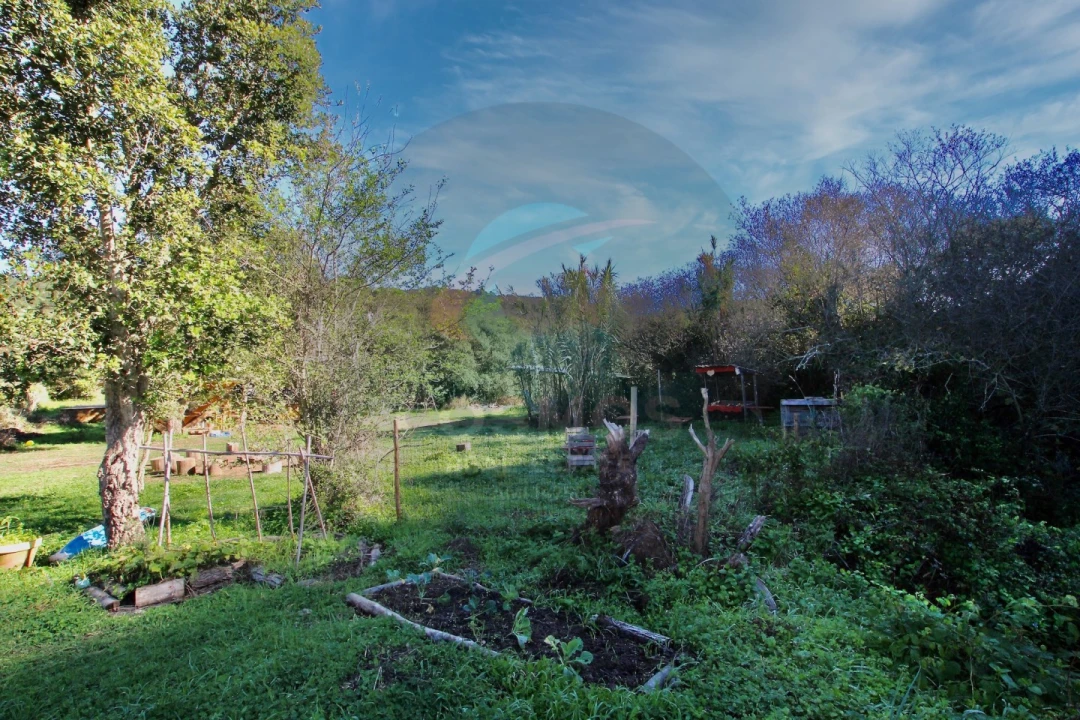 Terreno Agricola ou Rústico para Venda em Aljezur Foto 8