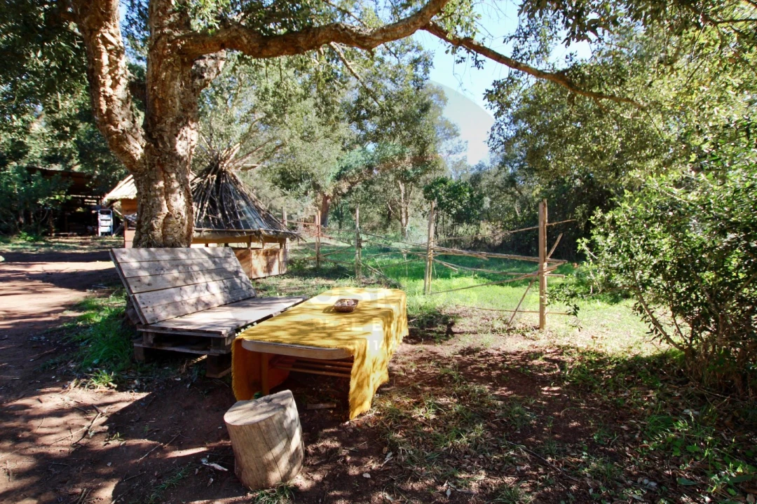Terreno Agricola ou Rústico para Venda em Aljezur Foto 12