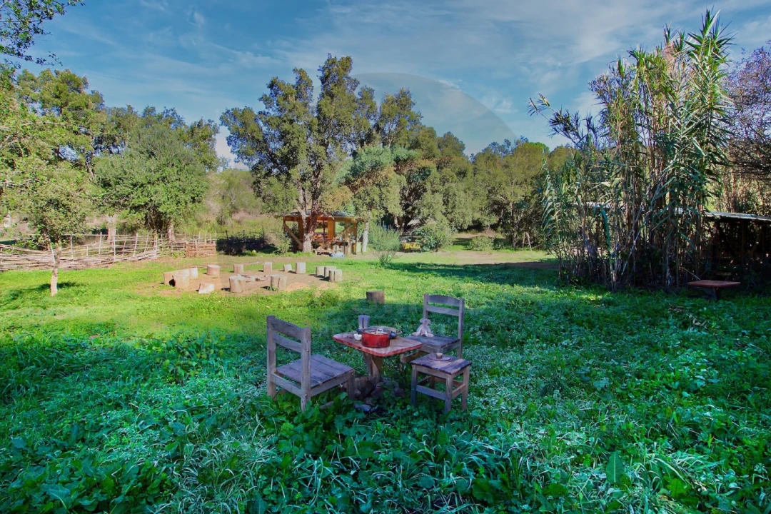 Terreno Agricola ou Rústico para Venda em Aljezur Foto 21