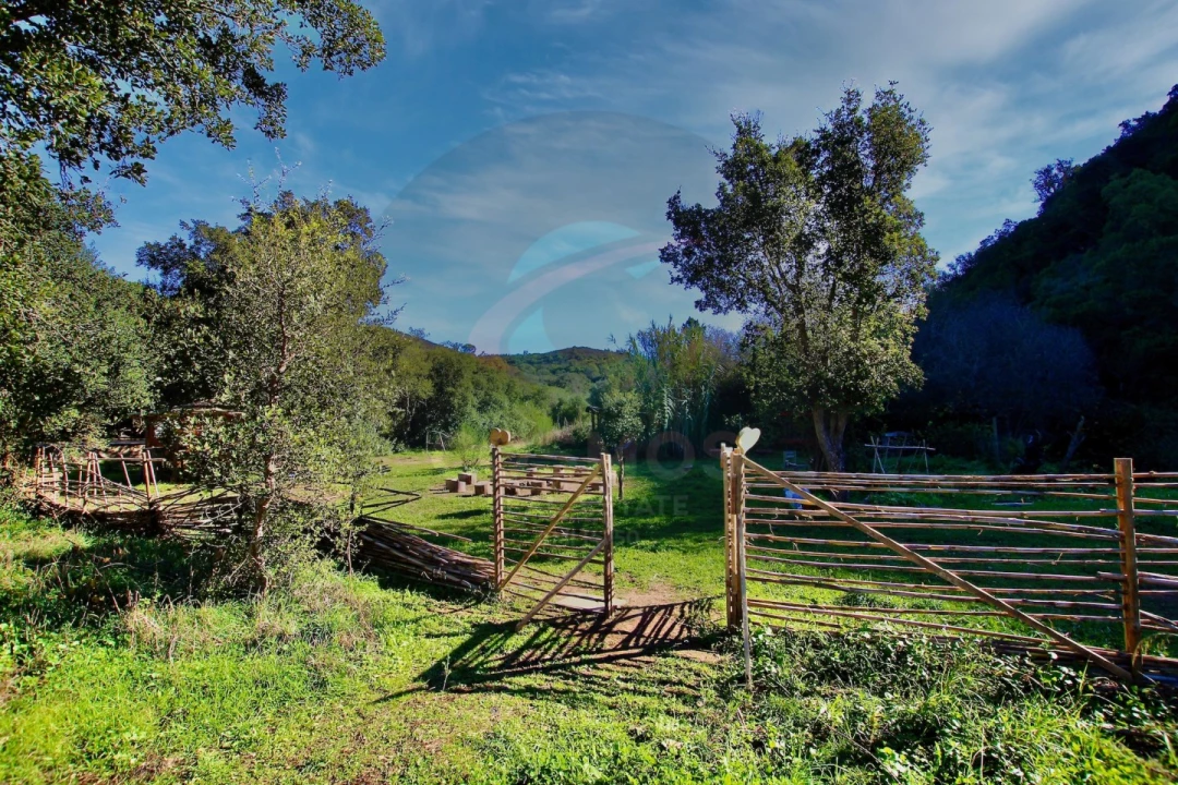 Terreno Agricola ou Rústico para Venda em Aljezur Foto 24