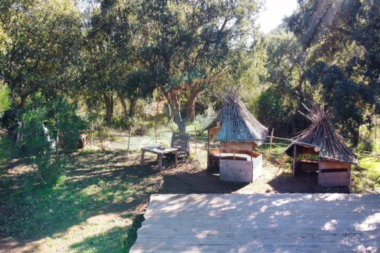 Terreno Agricola ou Rústico para Venda em Aljezur Foto 9